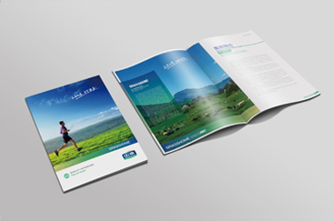 如康集團品牌形象全案策劃/設計